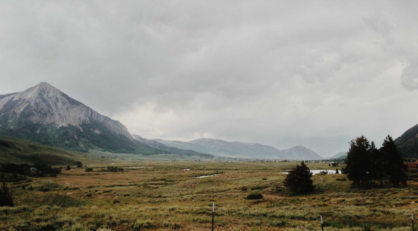 如何制止技术支持利润的增长?