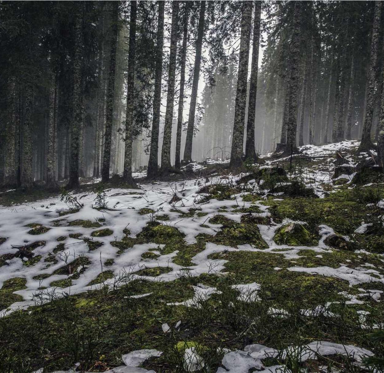 DDOS attack|游戏平台和代理的区别