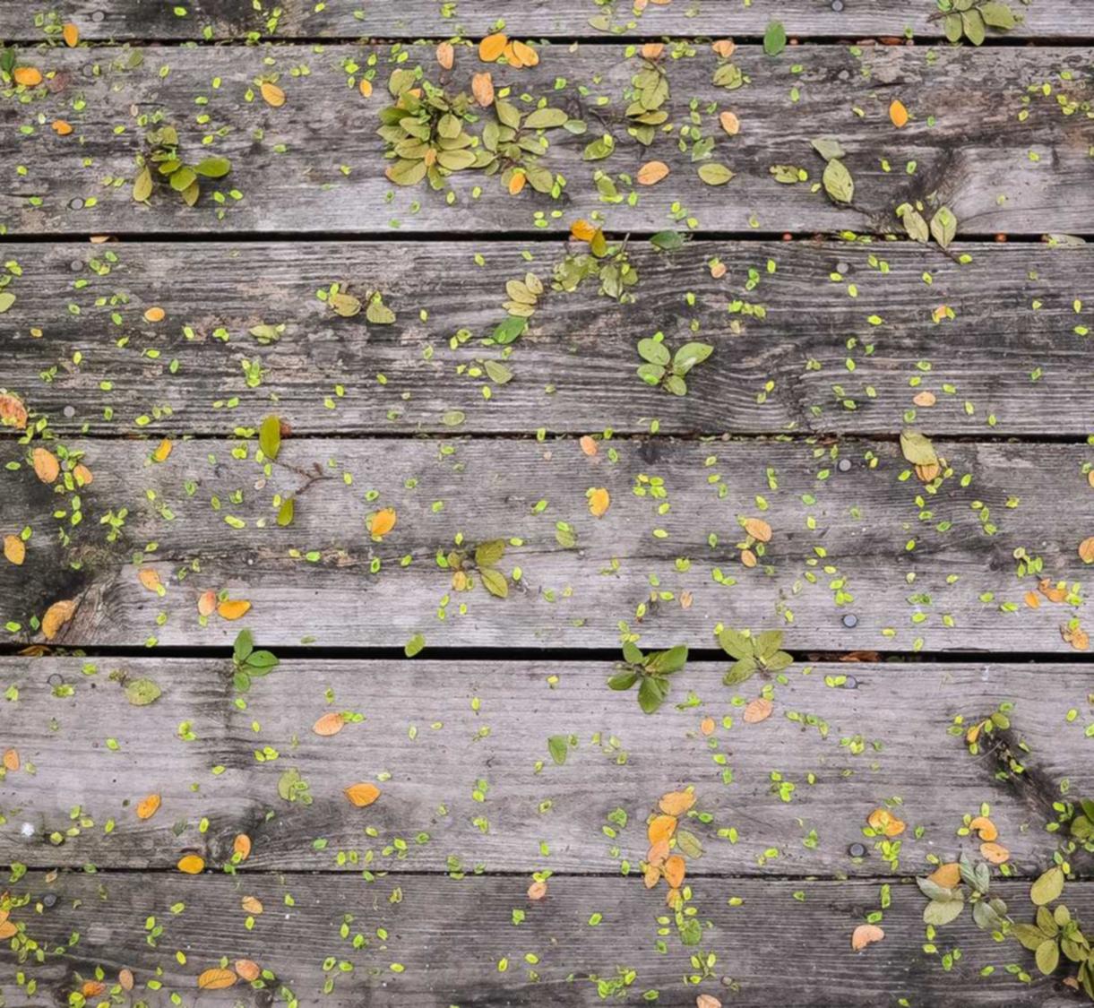 出口公司代理注册