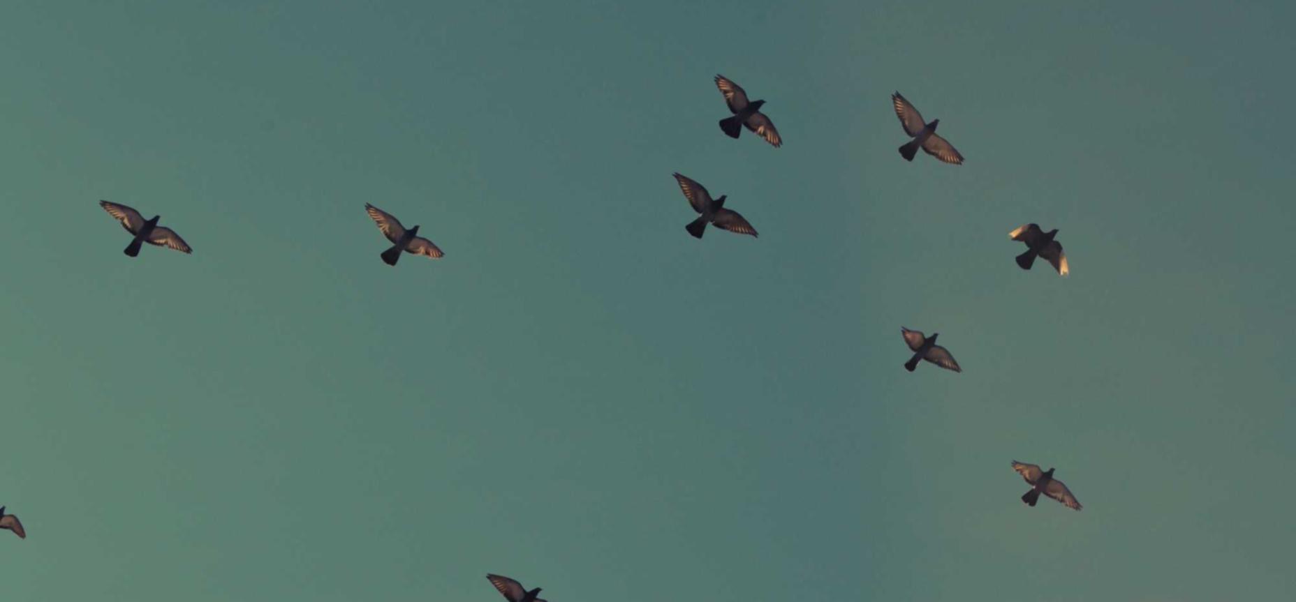 恒越娱乐,注册|邮箱在哪注册苹果手机账号