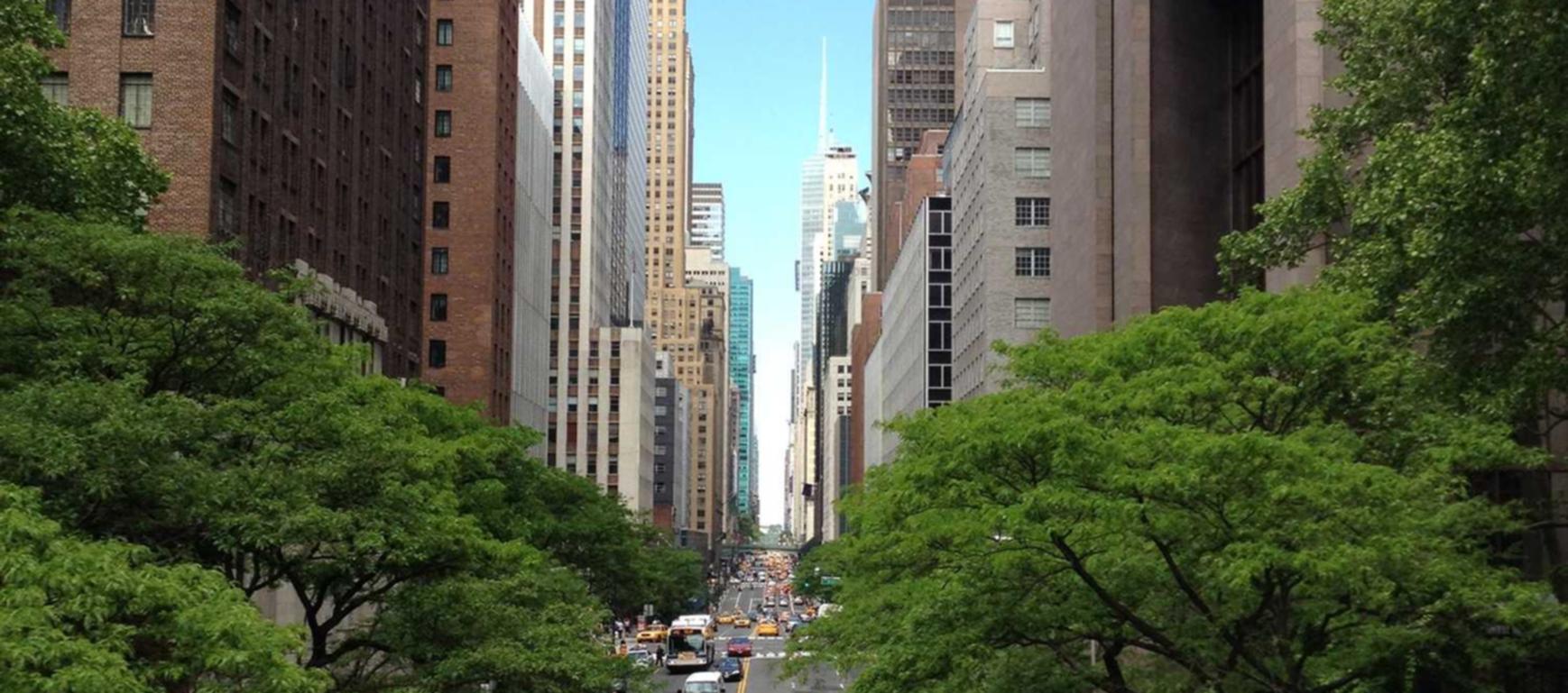 真相与谎言：关于技术支持的常见误解