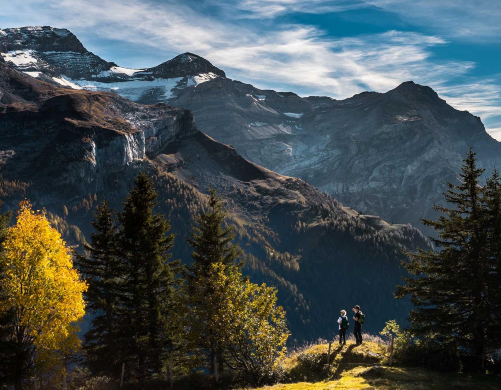 亚特兰大香草口味:东阳税务注册代理机构