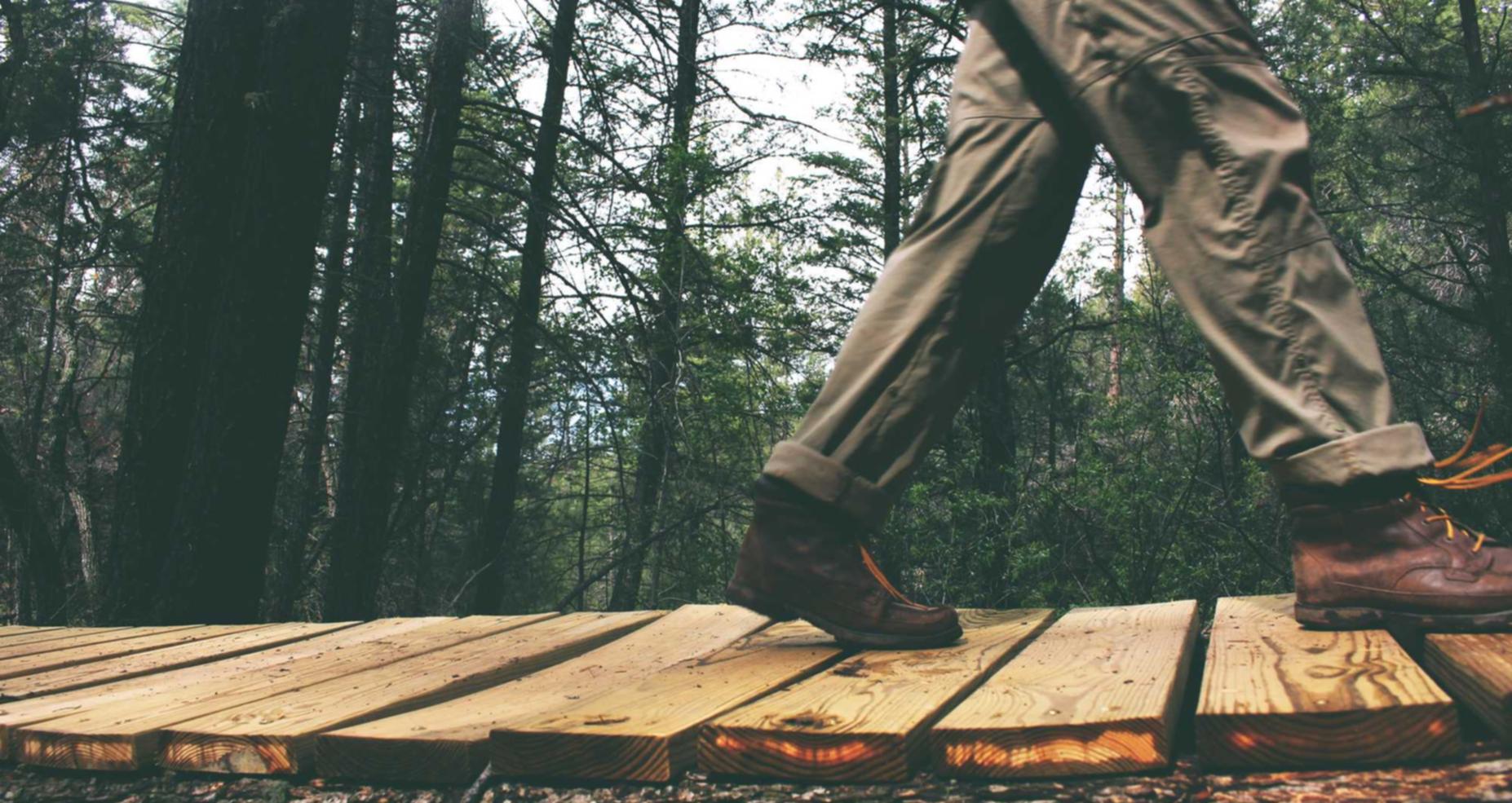 详情下载教程光大信托app