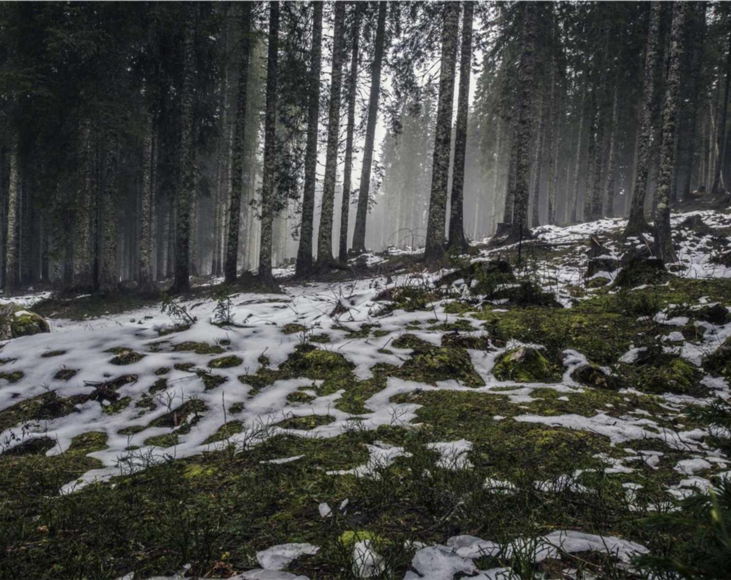 一品传承2娱乐,注册|企业营销中如何使用新的营销思路