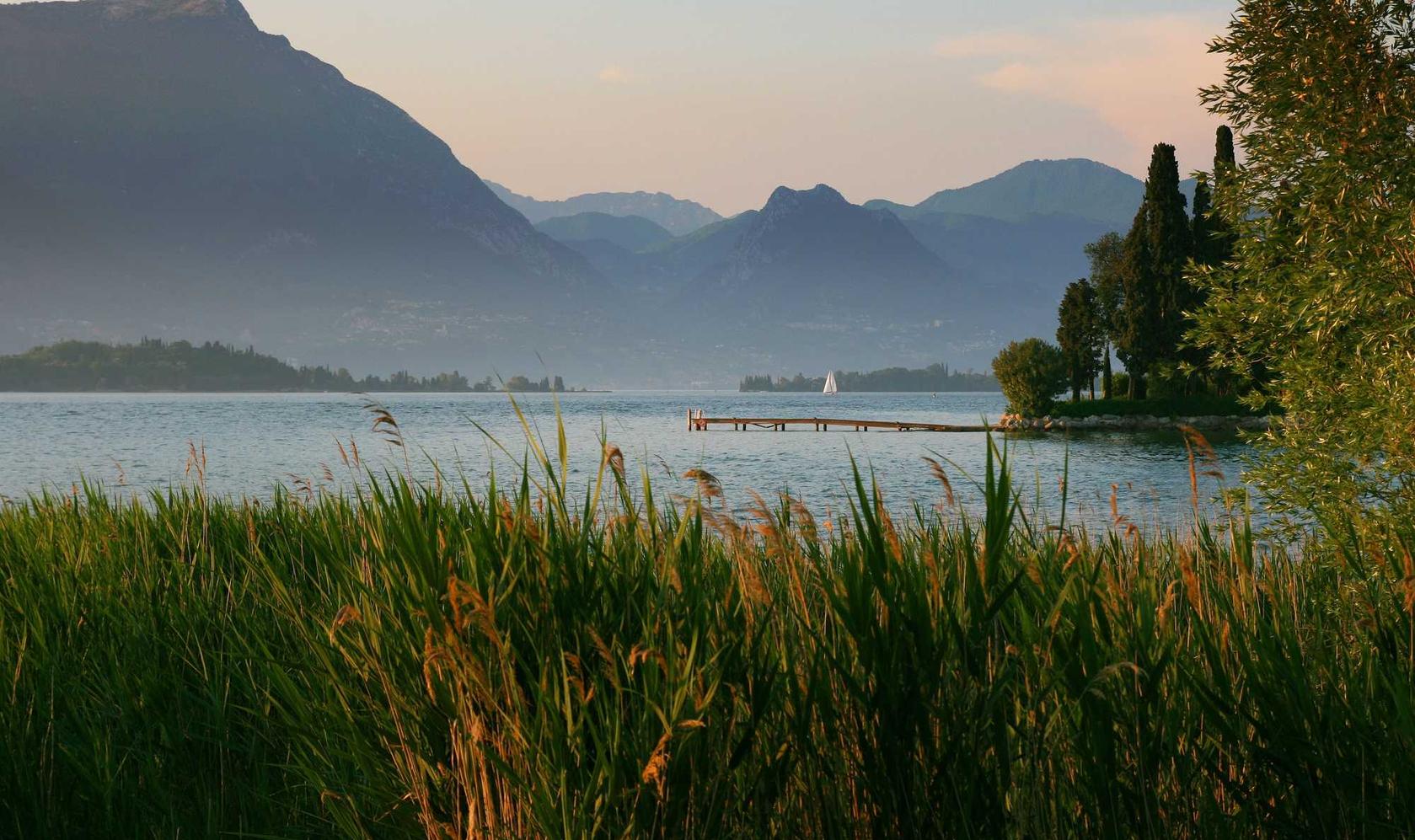 建立技术支持辅助犯罪的法律政策制定和行政管理的正规性和透明性