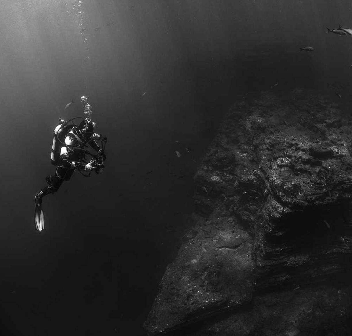 英豪6娱乐,注册|商标注册和代理机构哪个好