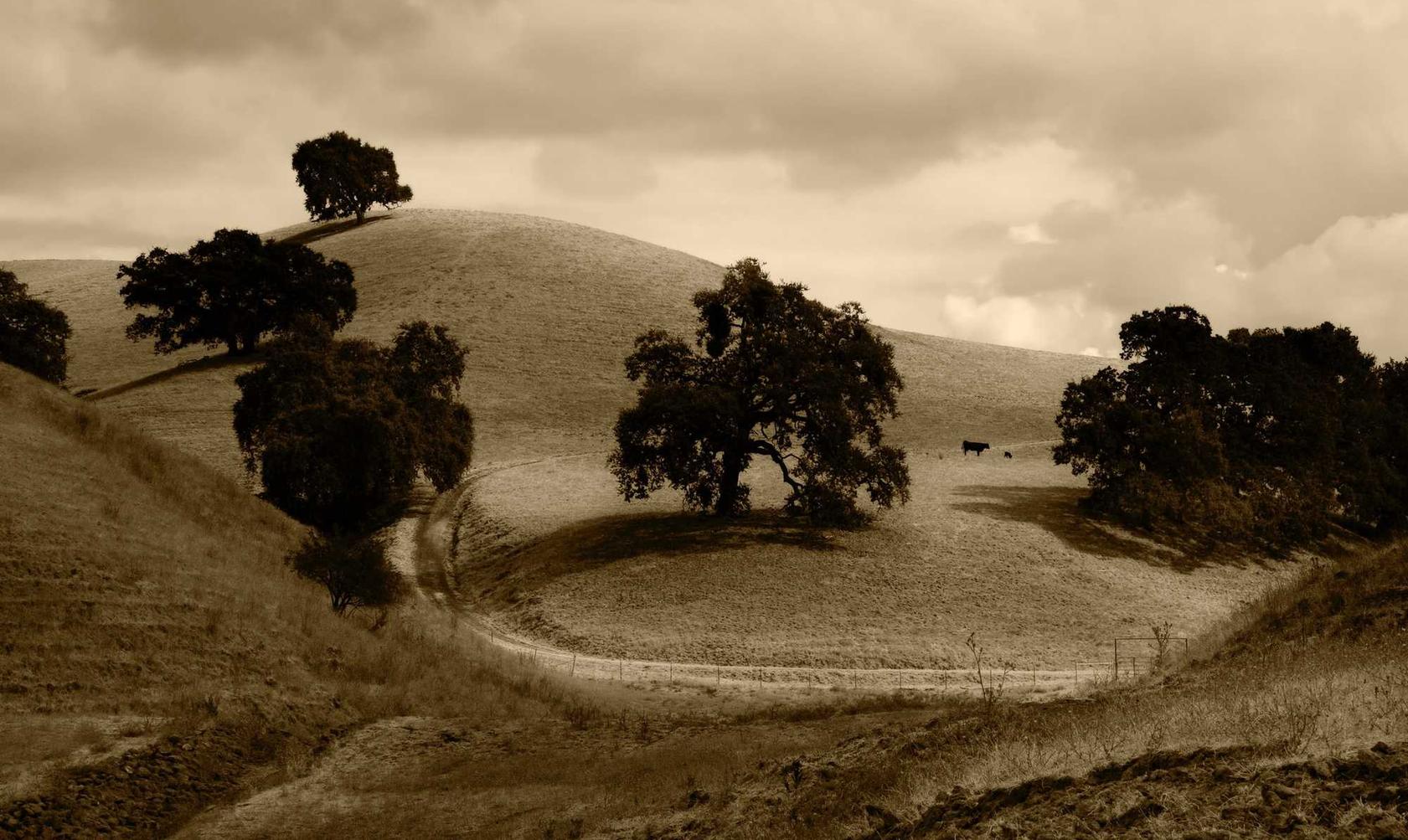 天猫app详情下载教程最新版