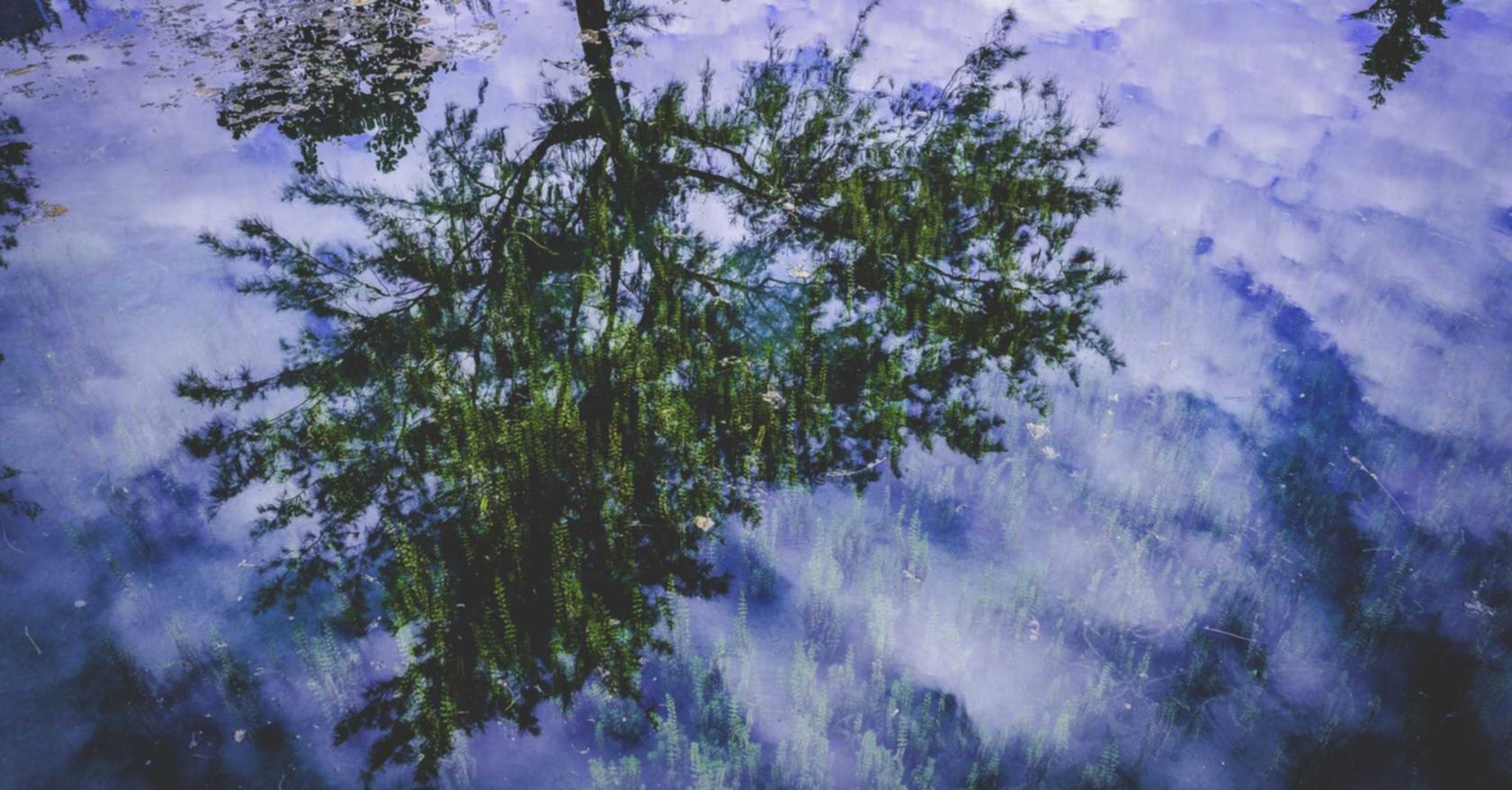 vx号买卖:复刻招聘代理平台