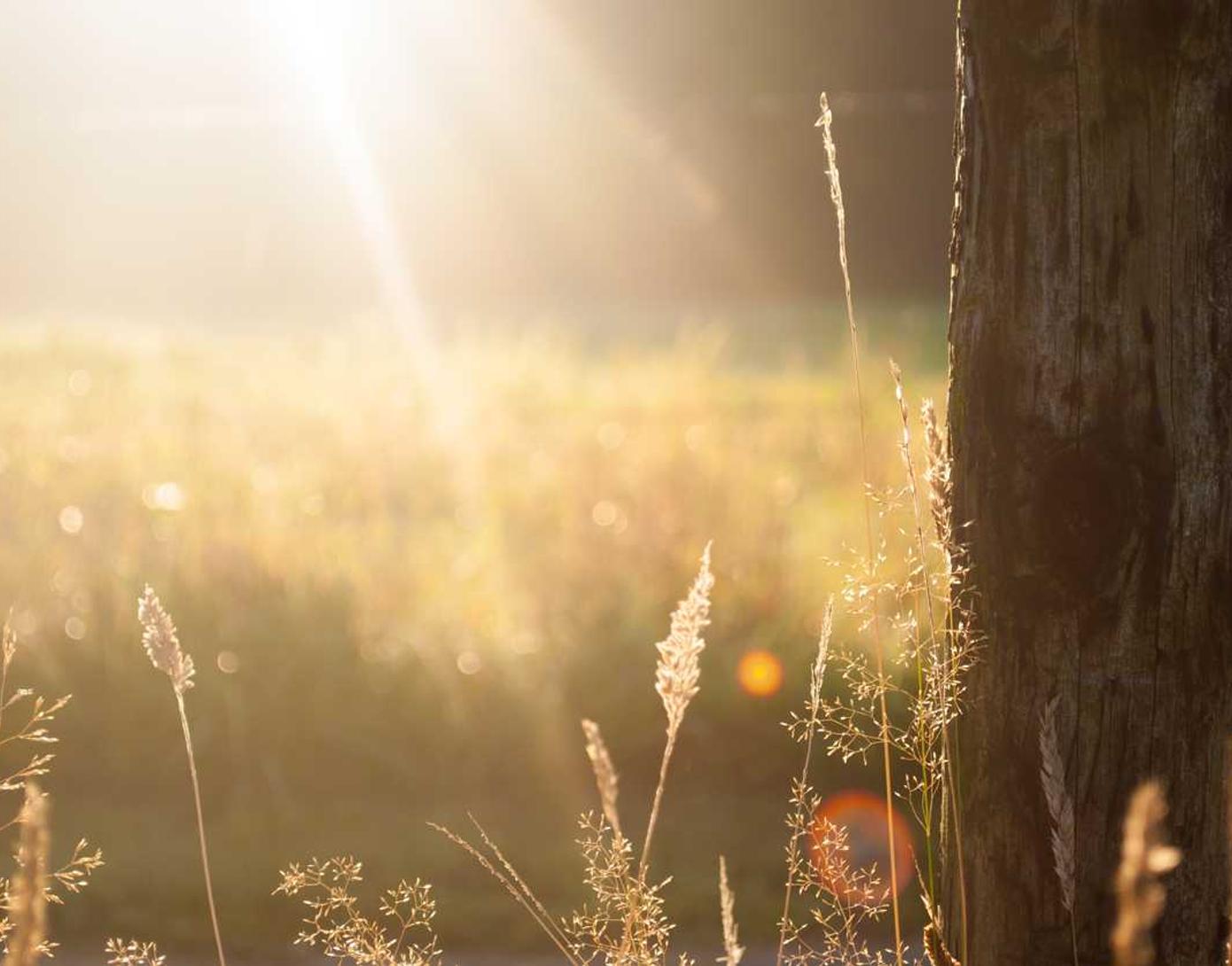 酒水饮料代理分销平台