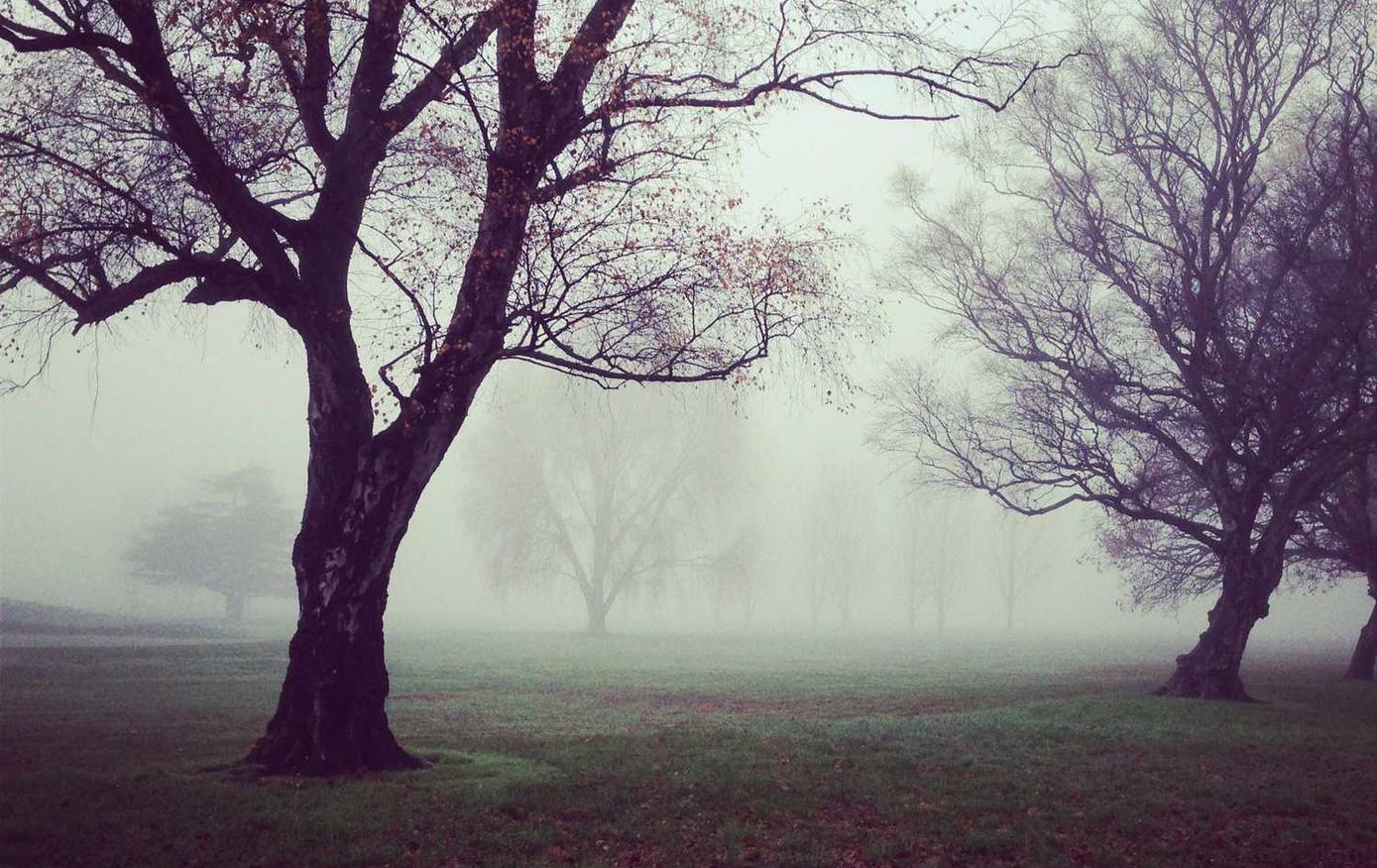 实名快手号买卖：app旧版怎么详情下载教程