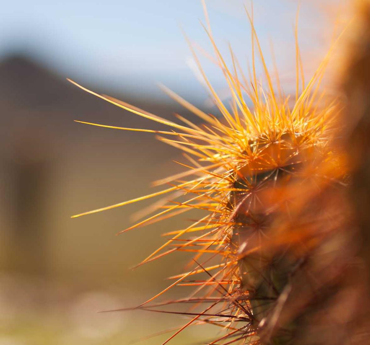 ORIS豪利时红酒双爆珠:西宁代理注册的公司有哪些