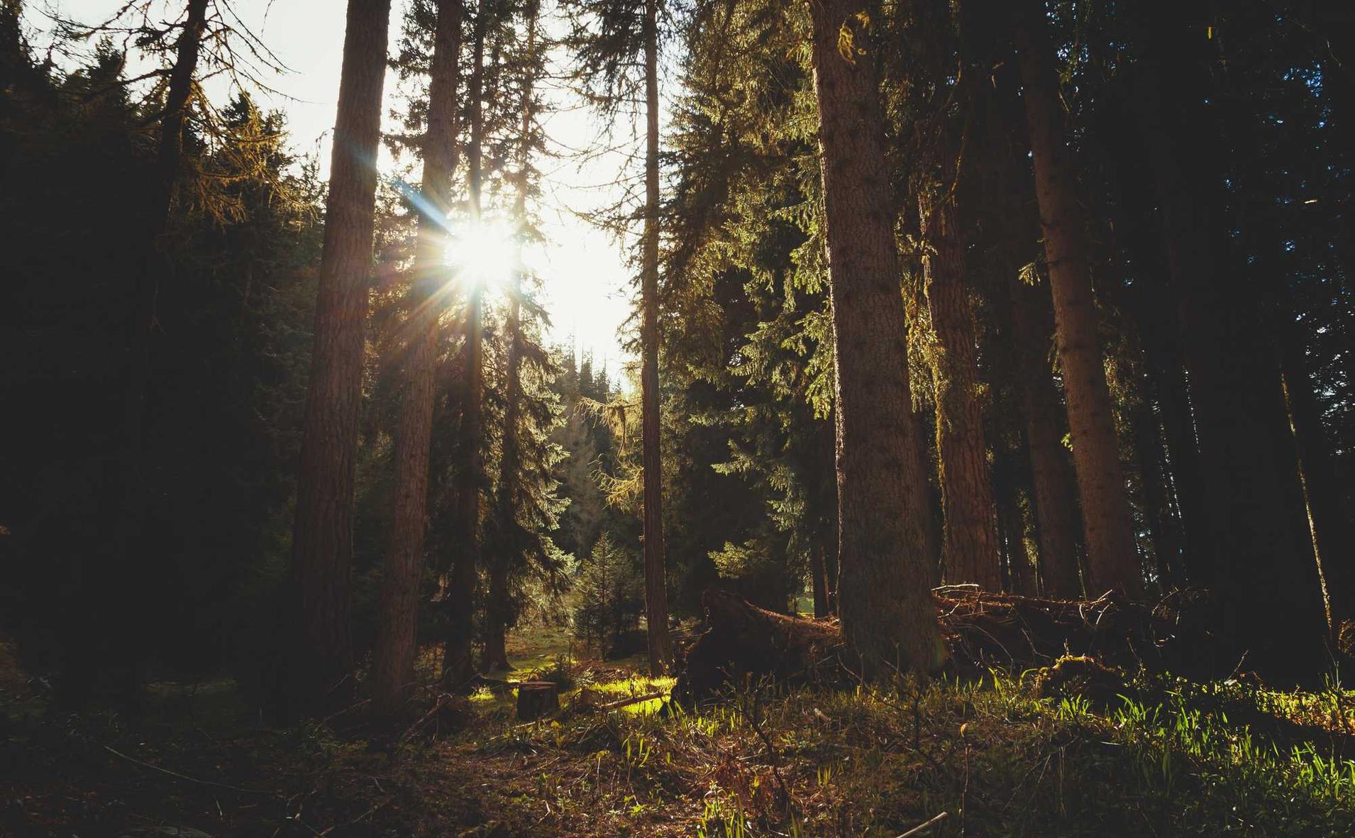 星际战甲:硅藻泥代理哪个平台好