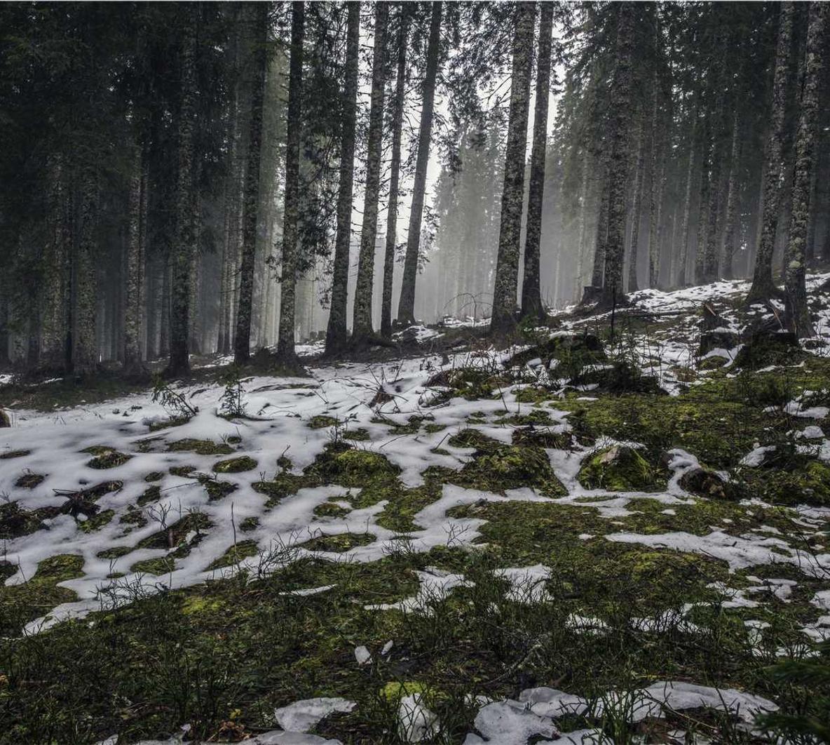 第九大陆:浙江影视公司注册代理