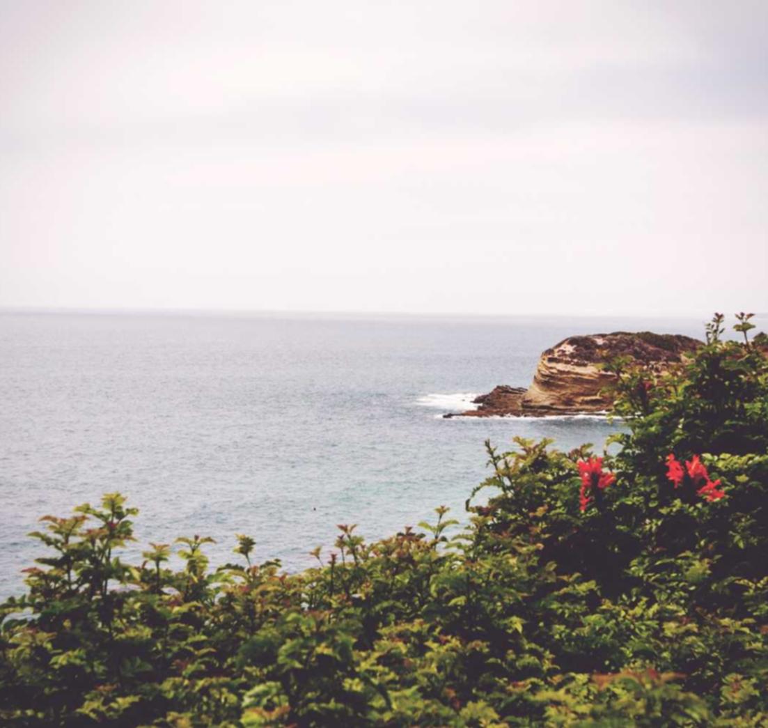 VX小号买卖:云顶的拳头账号注册事项