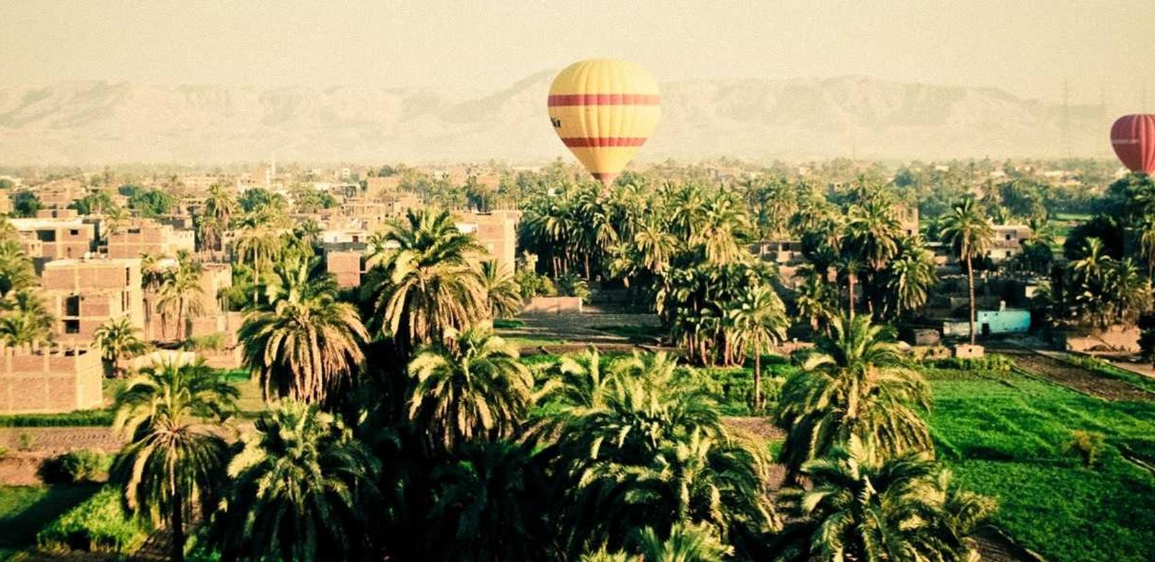 DDOS接单平台|淘宝代理平台可靠吗