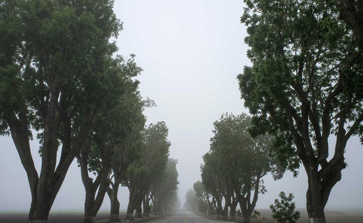 实名认证账号如何应对不同社会群体和场景的应用需求?