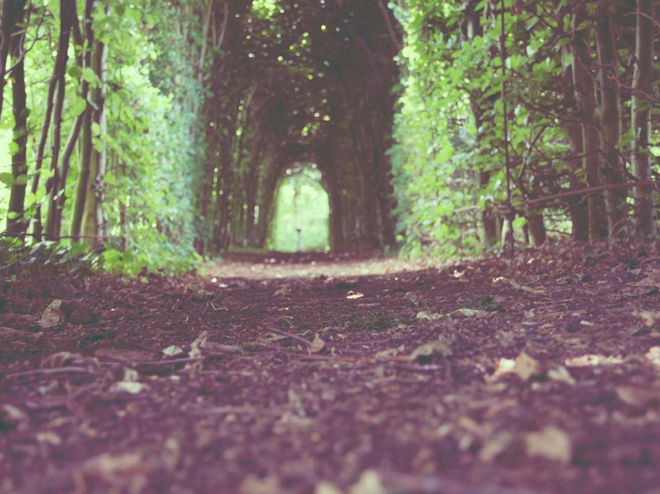 DDOS在线攻击|静安区商标注册代理事务所