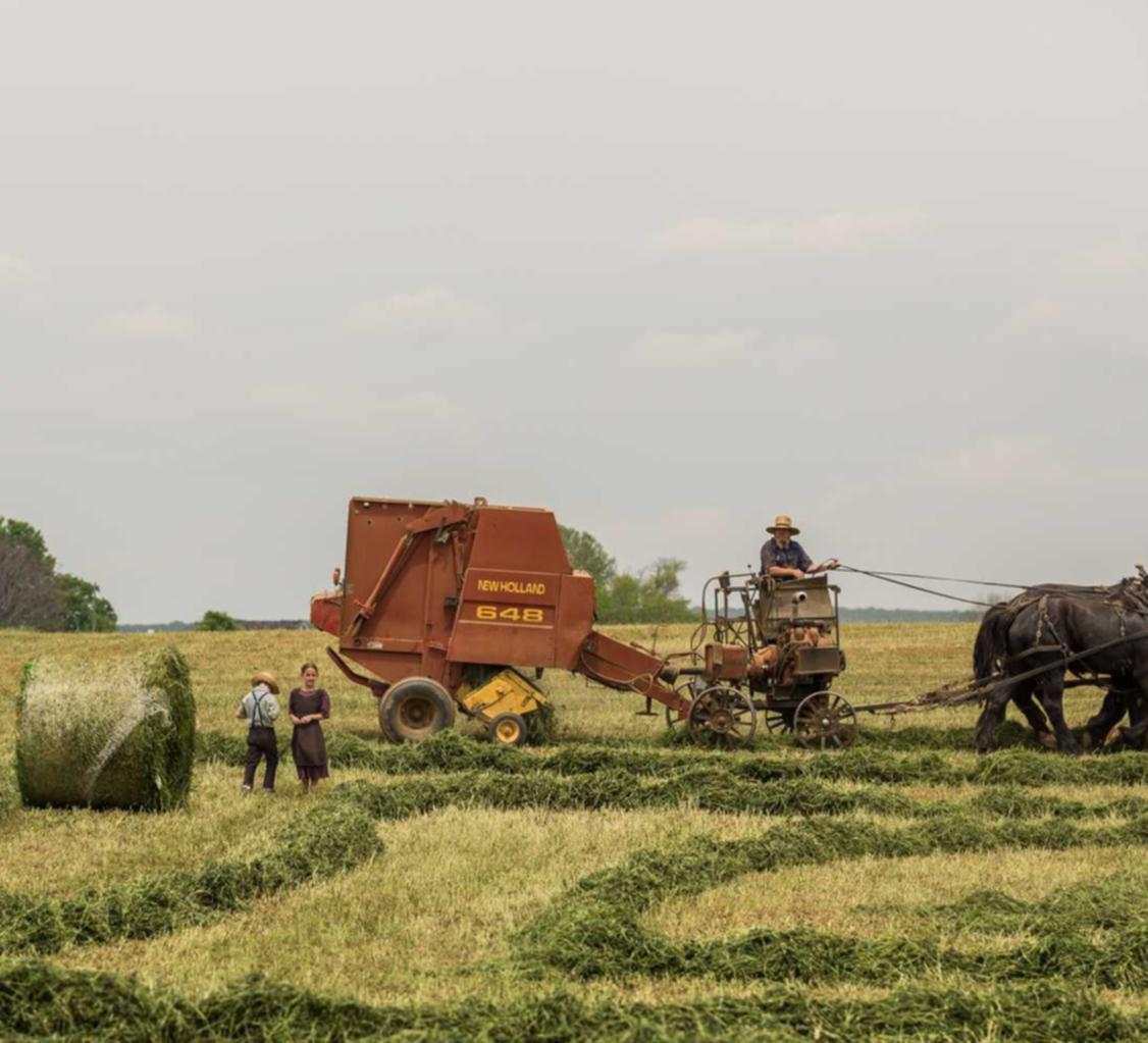 恒创科技实名账号：游戏打折平台代理