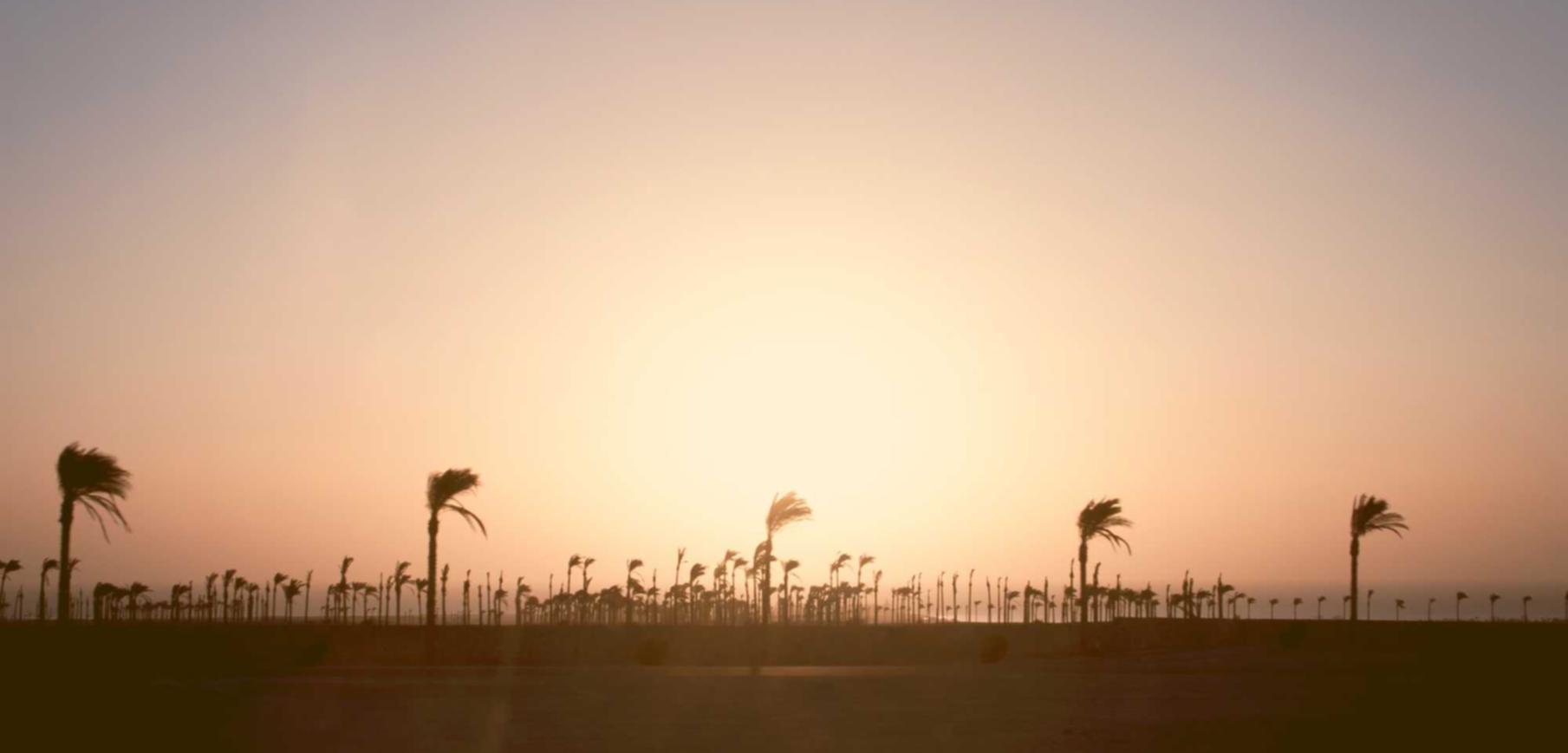 匿名号码卡批发:106信息平台代理