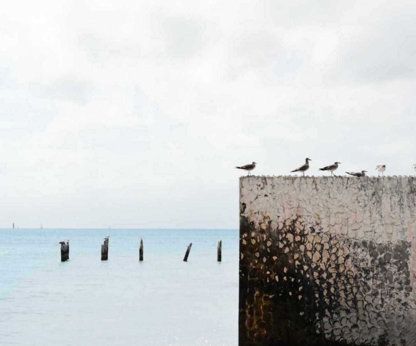 游戏是否有职业技术支持玩家？