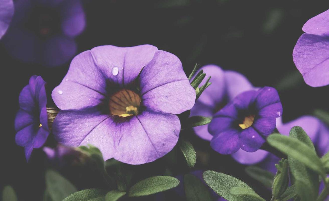 腾讯云实名账号:云游戏平台代理