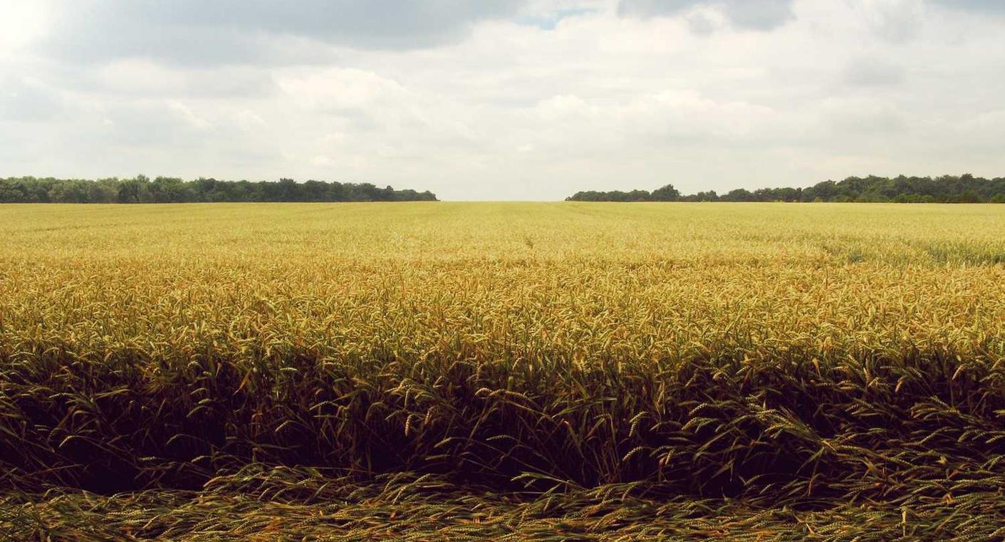 亚马逊AWS实名账号:怎么详情下载教程农村淘宝app