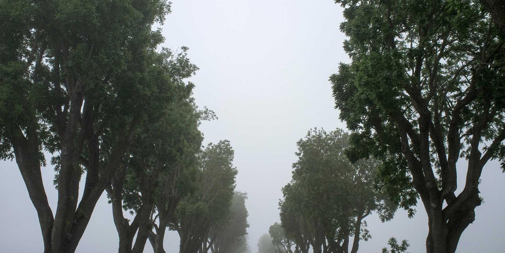 实名手机卡出售：nike鞋子购买平台