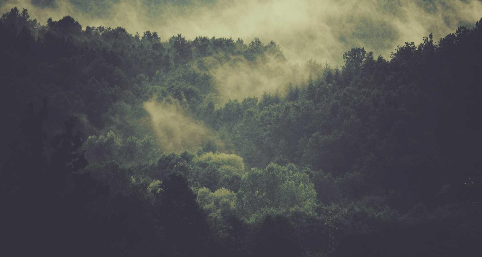 vx号出售:如何保护你的短信隐私