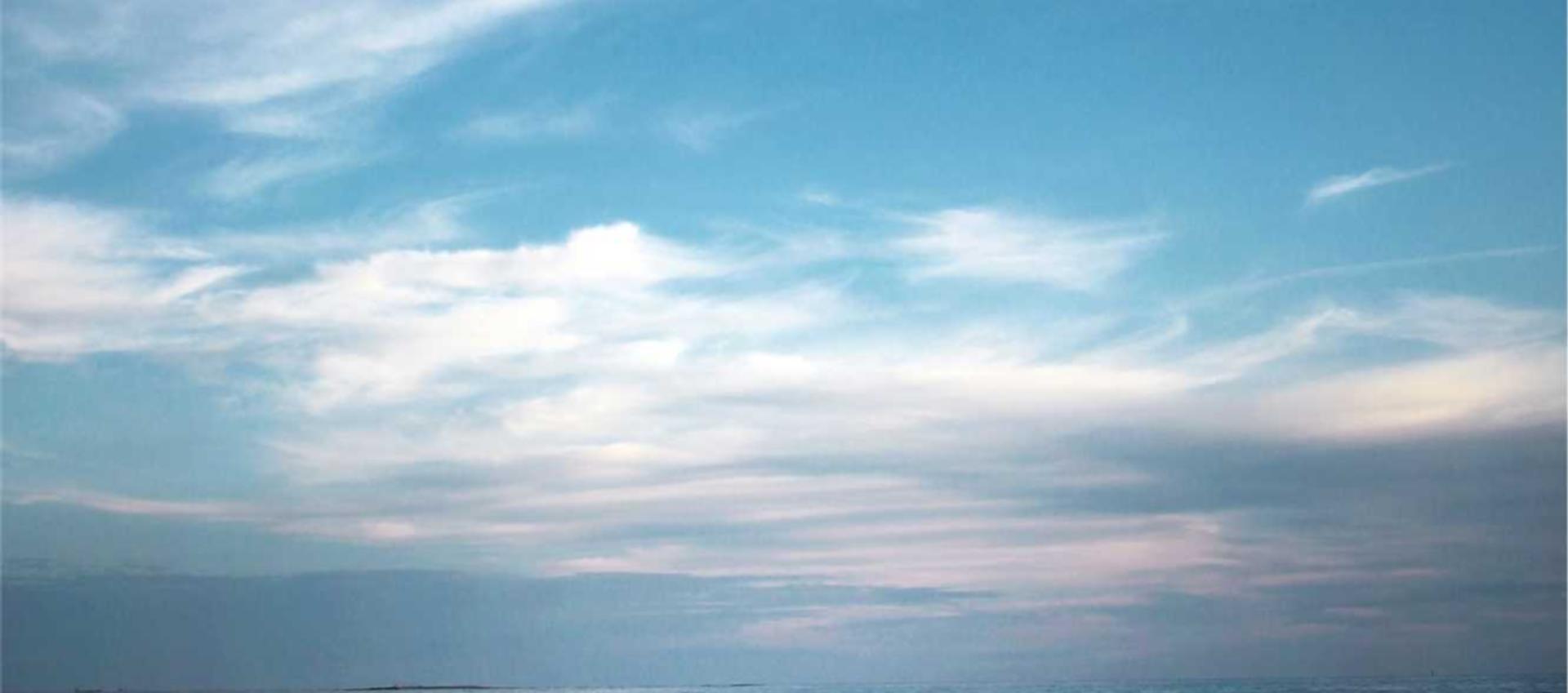 实名手机卡出售:巨野代理注册公司