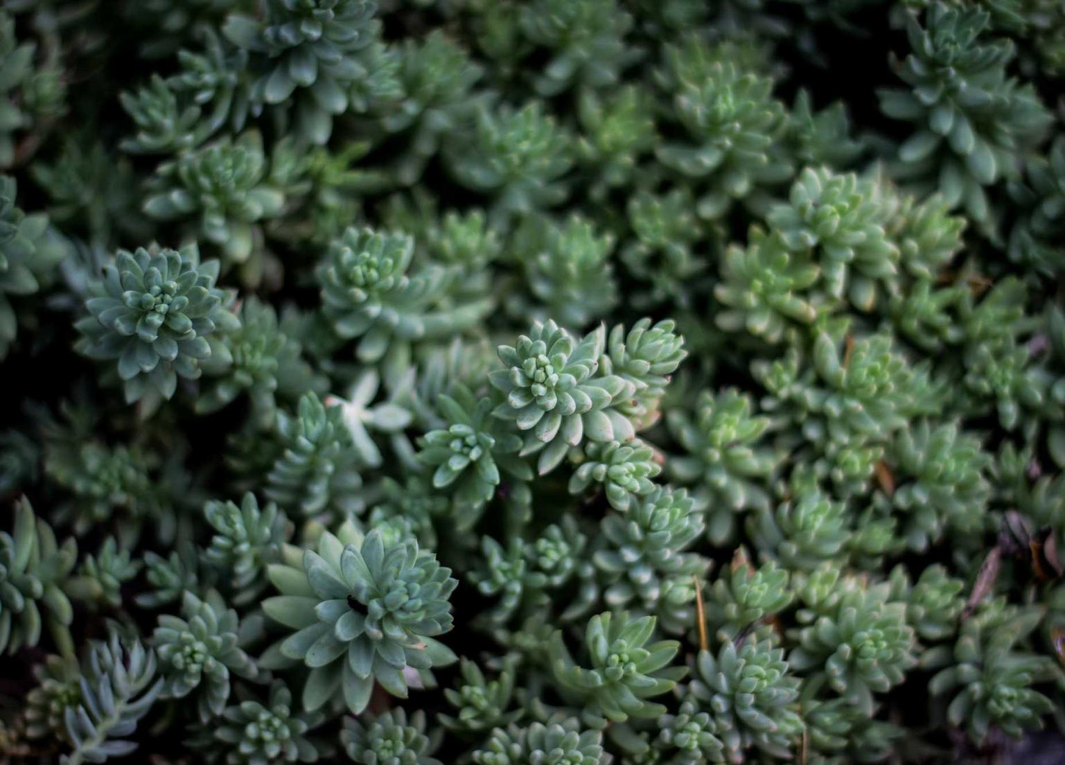 http攻击|黑客如何攻击企业网络