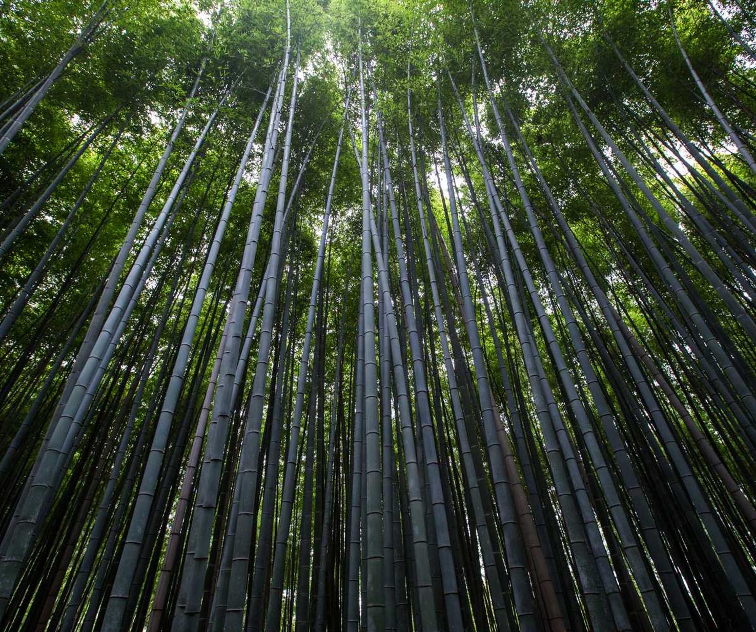 DDOS在线攻击|黑客入侵：如何保障公司和个人安全