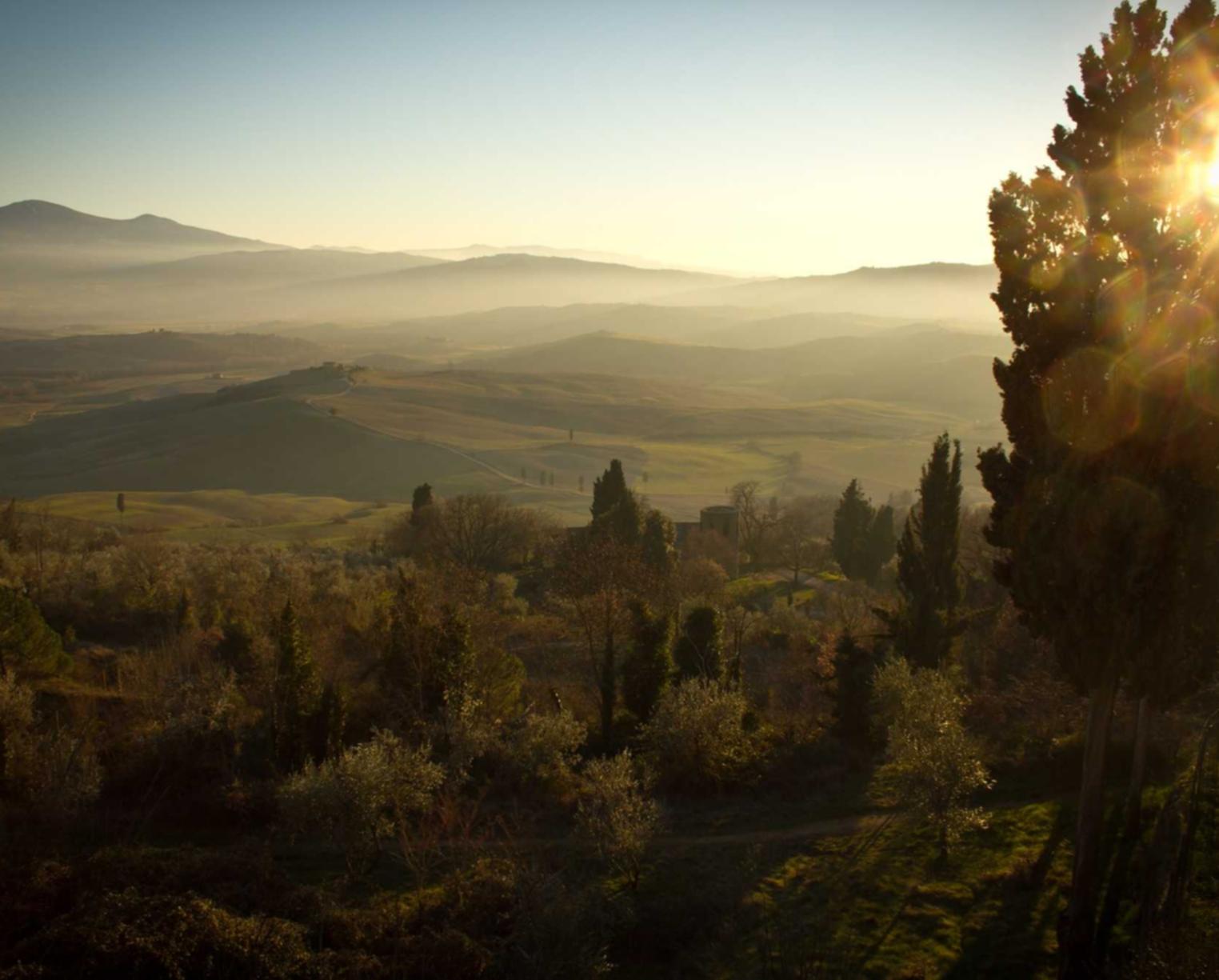 技术支持辅助对游戏正常环境的影响有哪些?