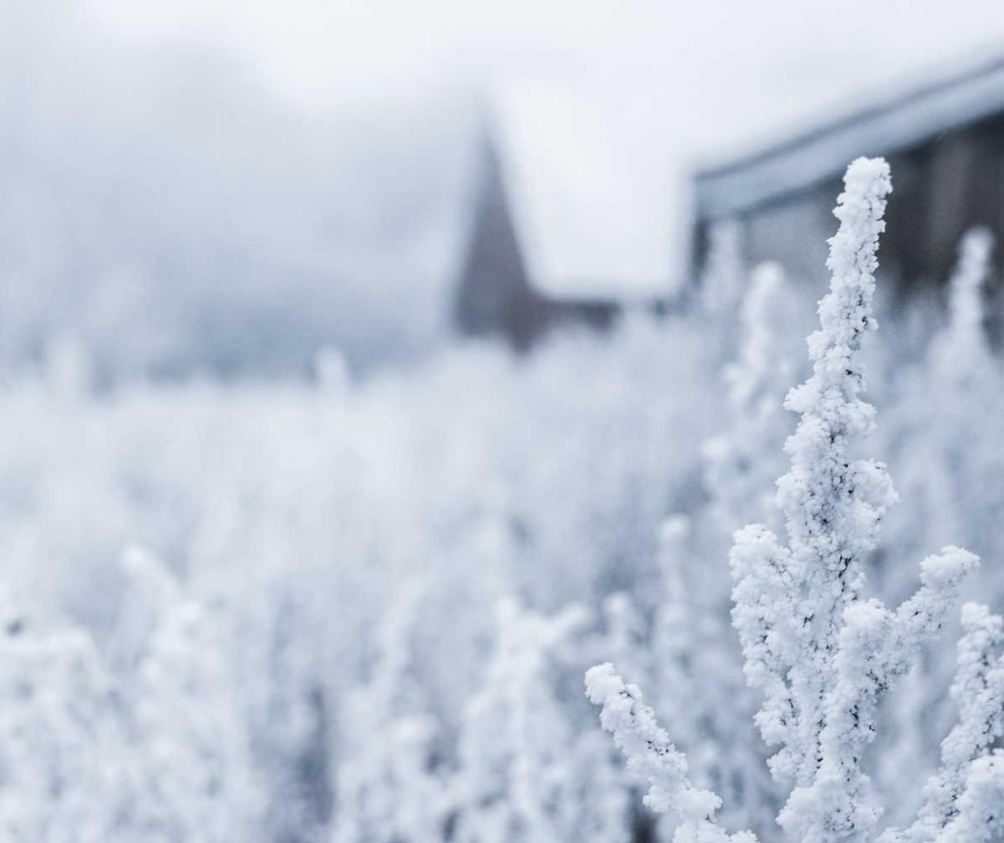 芒果星芒卡实名账号:十分到家注册账号