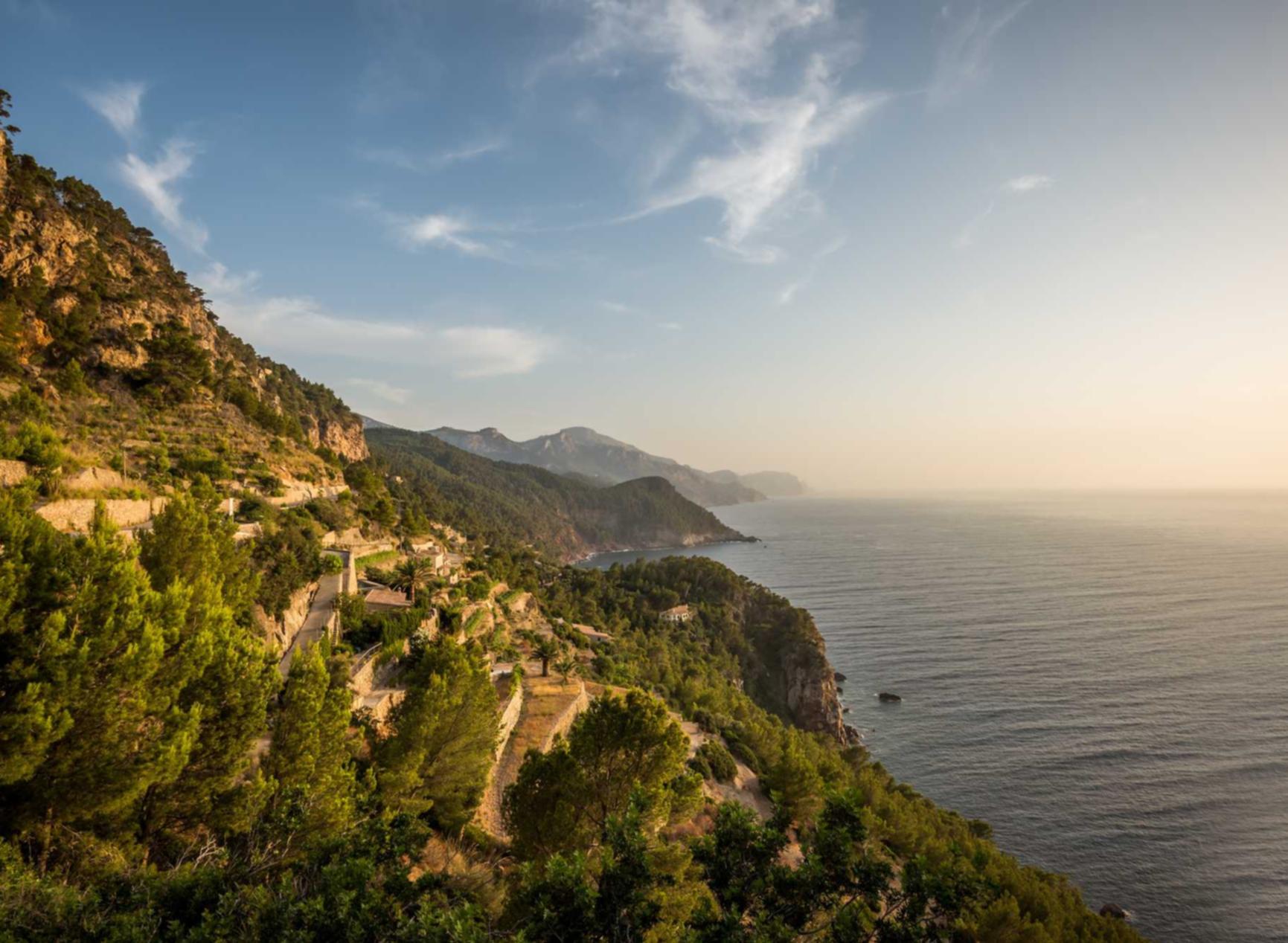 阿里山白大华:物联网交易所怎么注册账号