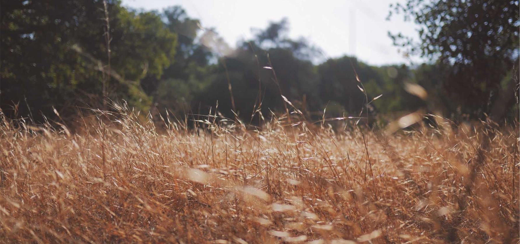 如何平衡吸烟与健康的需求