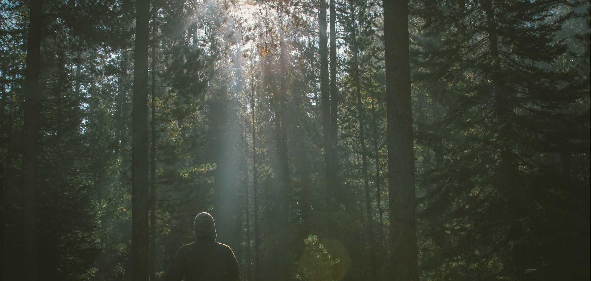 syn攻击|如何防止黑客从你的电脑入侵你的车辆