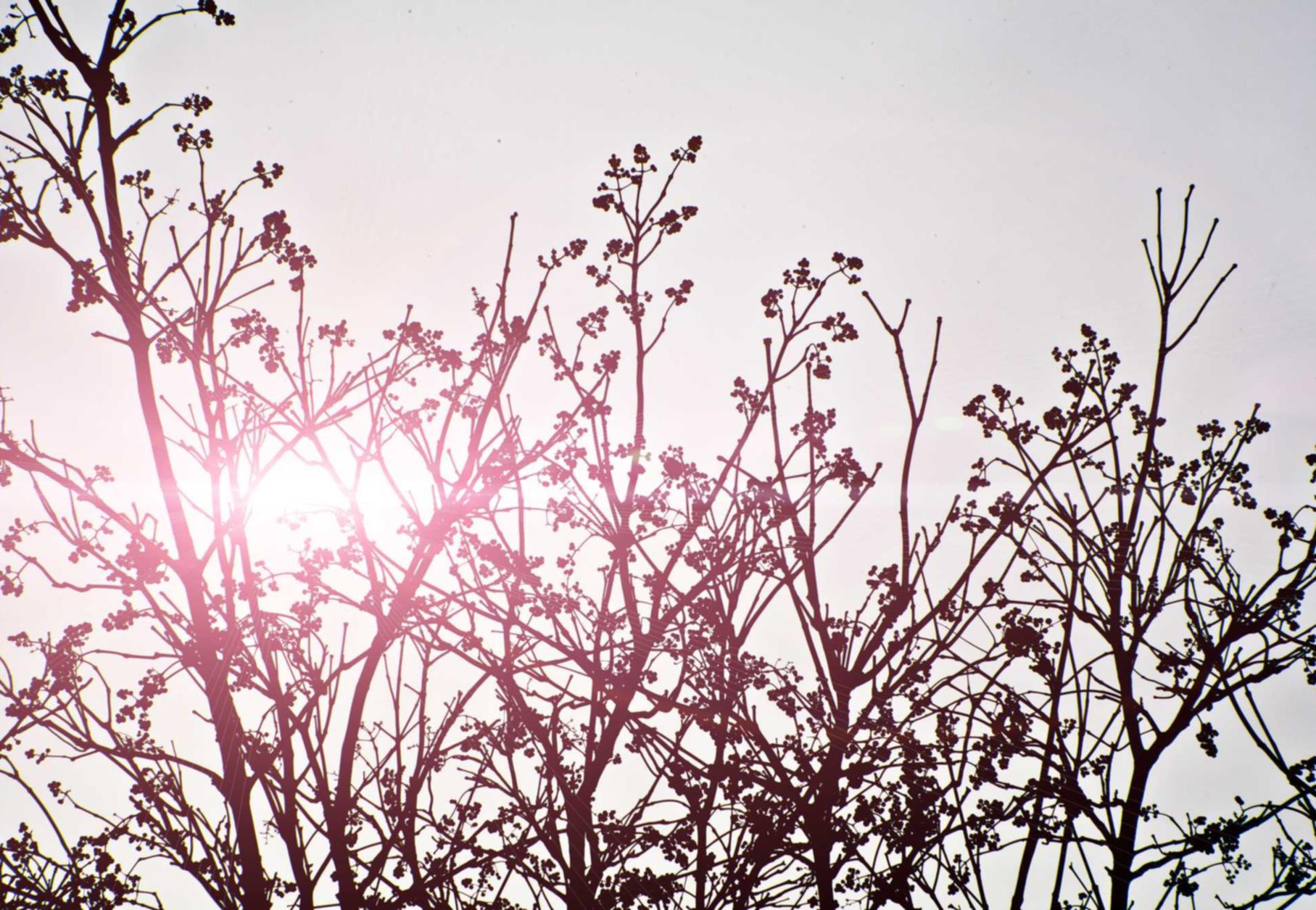 WX老号发卡网:新金融平台代理