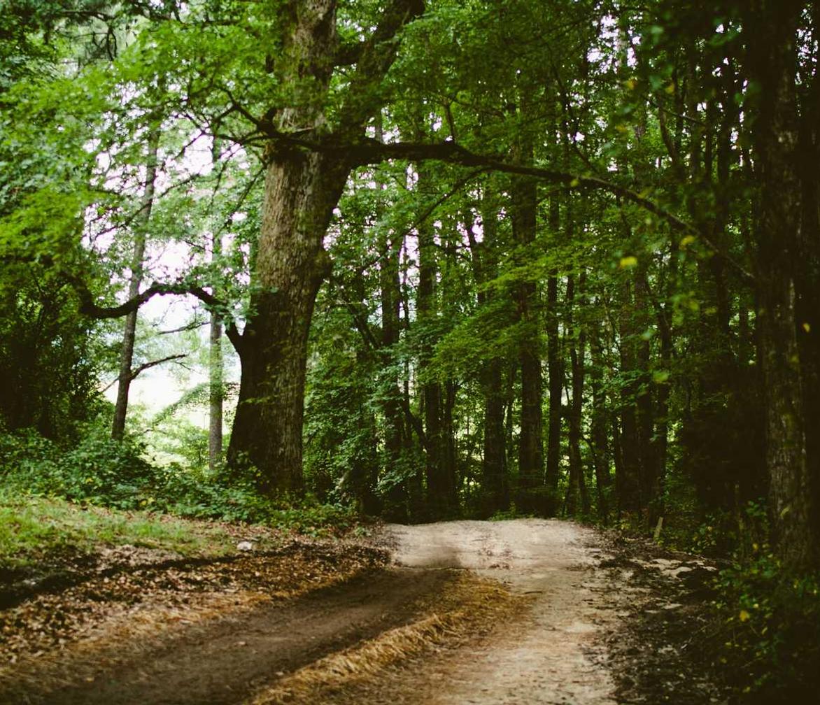 七星柔和7mg:苹果官方账号注册