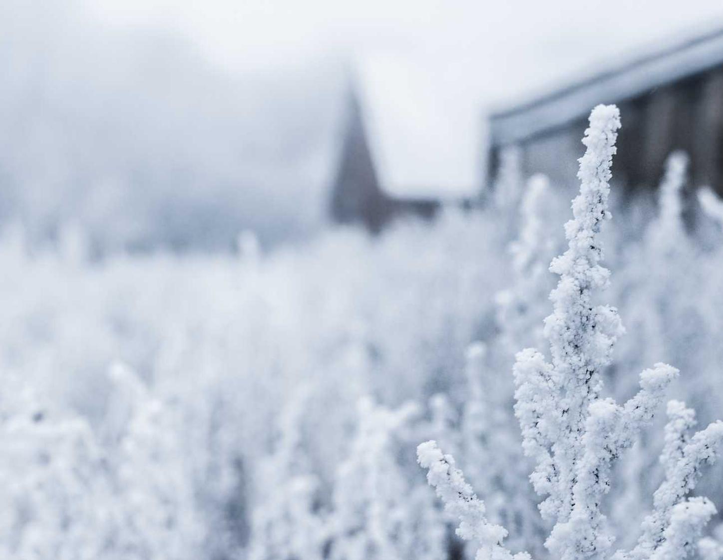 DDOS压力测试|app里面软件详情下载教程不了