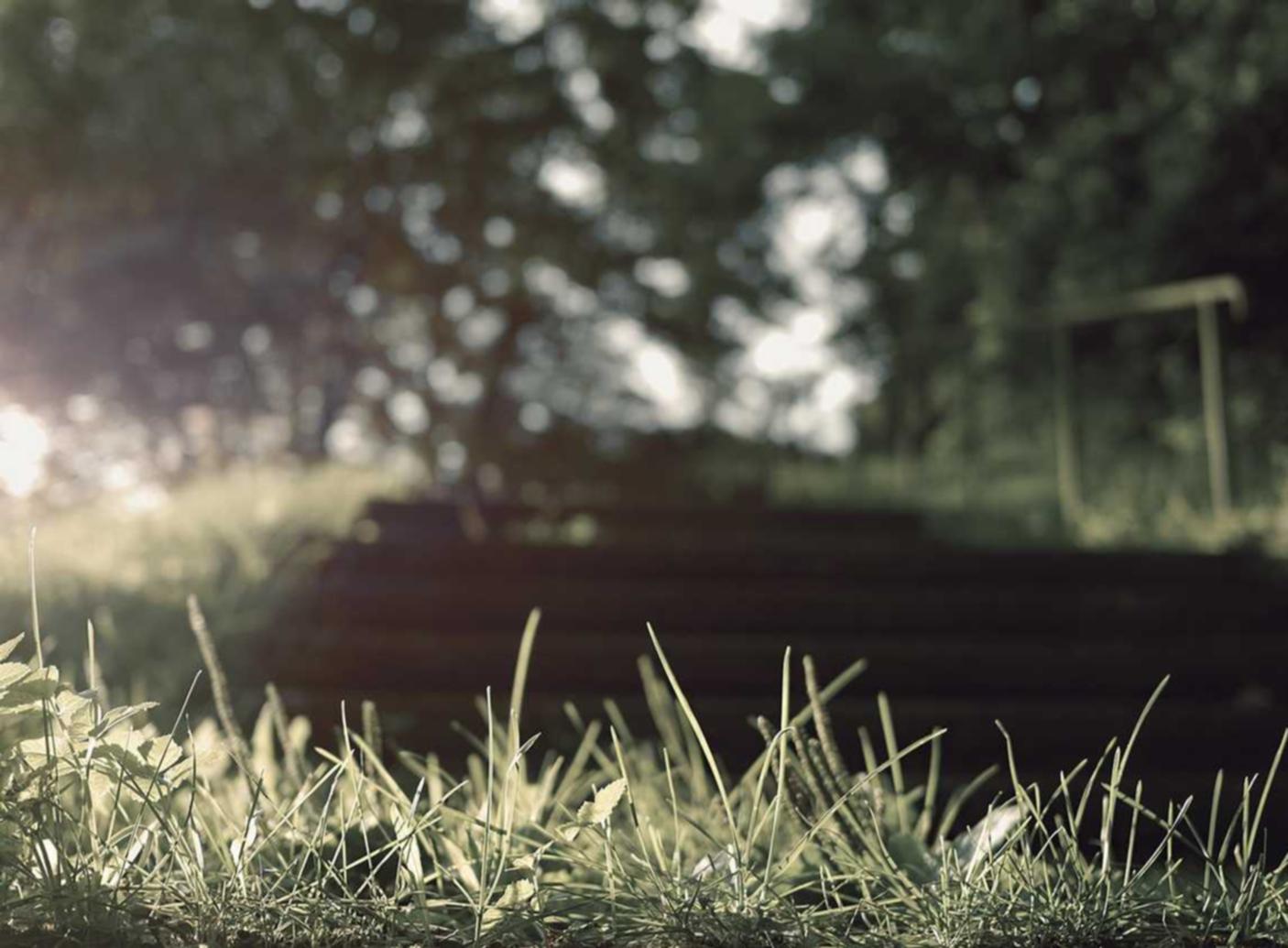 cc网页端|怎么详情下载教程美国区app